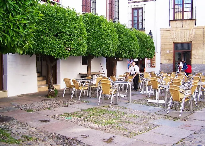 Casa Levi